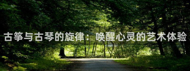 凯发国际真人:古筝与古琴的旋律:唤醒心灵的艺术体验