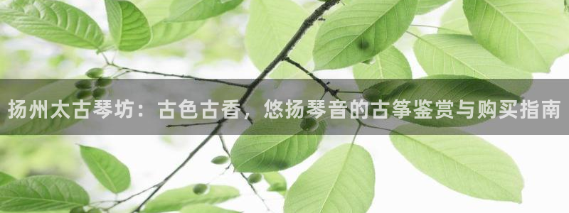 凯发k8娱乐欢迎您:扬州太古琴坊:古色古香,悠扬琴音的古筝鉴