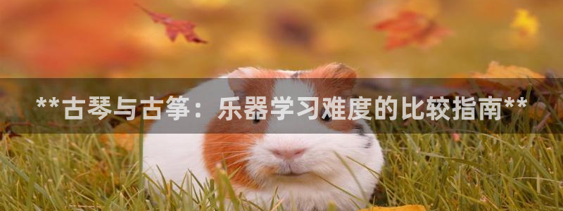 凯发国际平台登录:**古琴与古筝:乐器学习难度的比较指南**